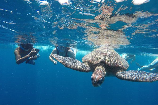 Snorkeling Tour In Gili Islands Pick Up From Lombok Or Gili - Gili Meno and the underwater sculpture circle