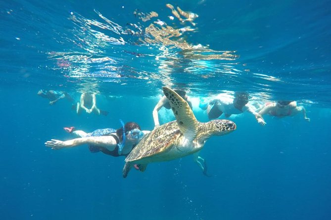 Snorkeling Tour In Gili Trawangan, Gili Meno And Gili Air Pick Up From Bali - Key points to know before booking