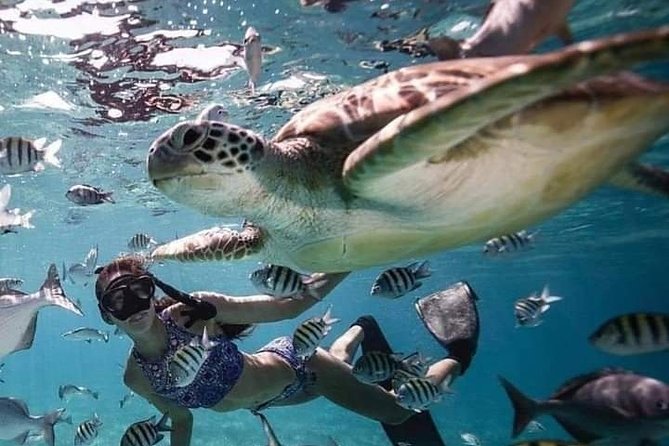 Snorkeling Tour In Gili Trawangan, Gili Meno And Gili Air Pick Up From Bali - Three Gili Islands from Bali in one packed day