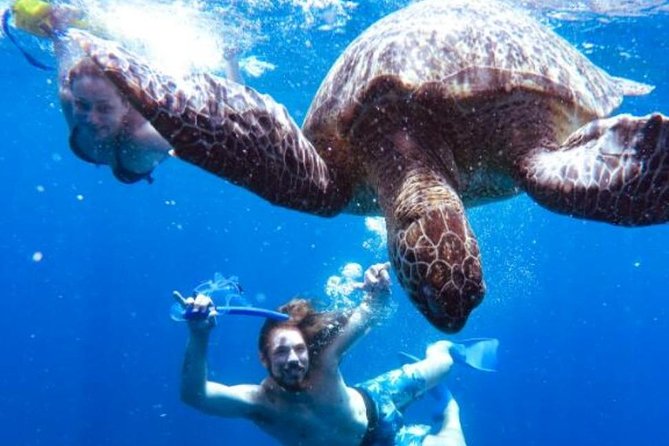 Snorkeling Tour In Gili Trawangan, Gili Meno And Gili Air Pick Up From Bali - Gili Trawangan and the first Turtle Spot