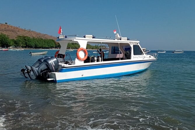 Snorkeling Trip to Menjangan Island - Small details that make the day easier