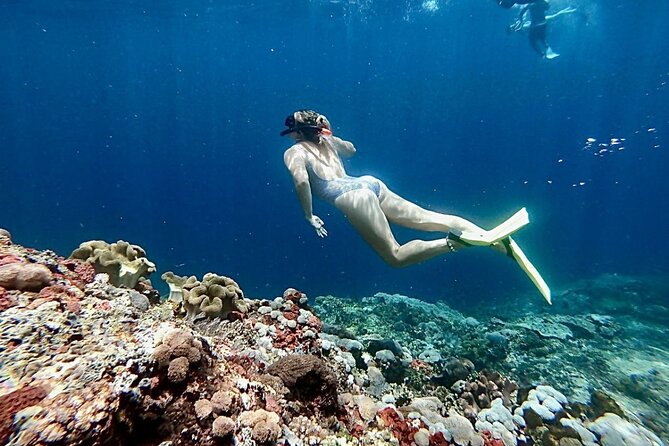 Snorkeling Trips with Manta Ray from Nusa Lembongan - Stop two: Toya Pakeh Wall and the wider fish list