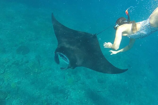 Snorkeling with Manta Rays in Their Habitat with Manta Point - What the three-hour route feels like