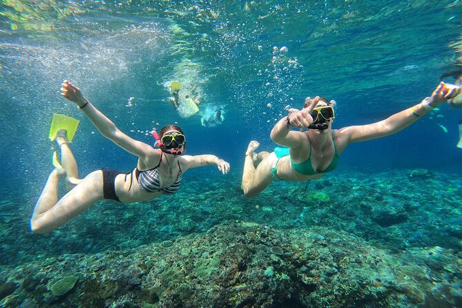 Snorkeling with Manta Rays in Their Habitat with Manta Point - Crystal Bay for coral and fish