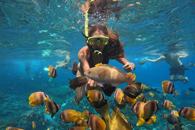 Snorkeling with Manta Rays in Their Habitat with Manta Point - Who will get the most from this outing