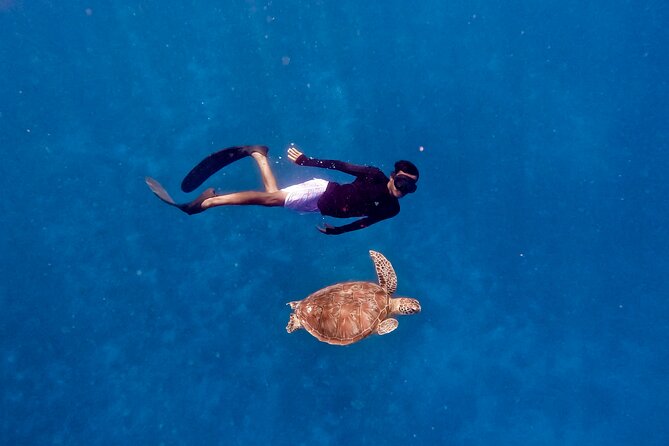 Snorkeling with turtle and statue in Gilis - Friendly help for beginners