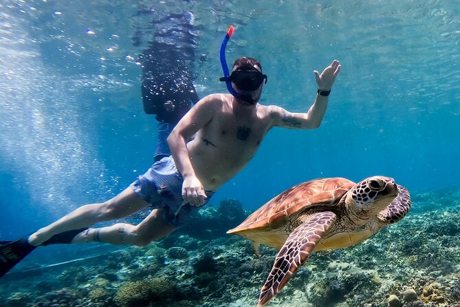 Snorkeling with turtle and statue in Gilis - Timing, weather, and cancellation rules