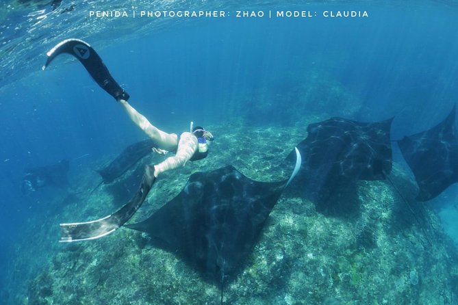 Snorkelling in Nusa Penida - Manta Point - Crystal Bay and the northern reef sites