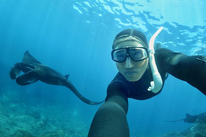 Snorkelling in Nusa Penida - Manta Point - Manta Point: the big wildlife hope