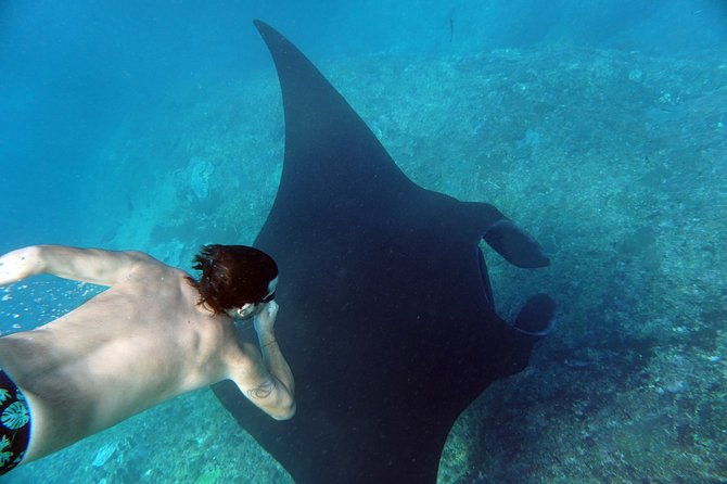 Snorkelling with Manta Rays at Nusa Penida and Lembongan - What is included, and why the $143 price matters