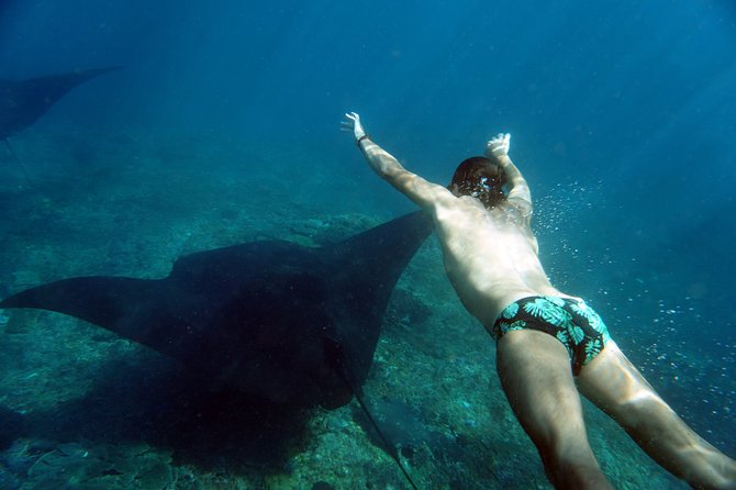Snorkelling with Manta Rays at Nusa Penida and Lembongan - How this compares with arranging the day yourself