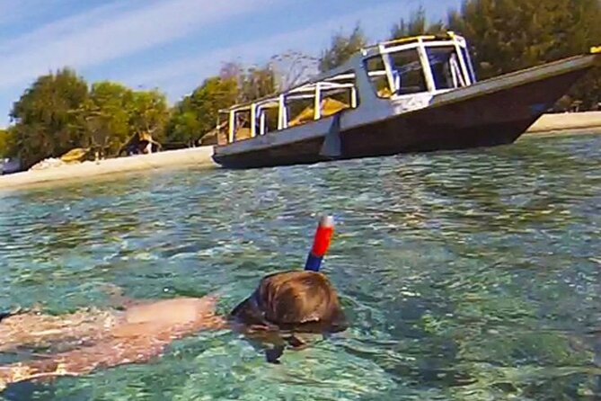 Snorkling trip 3 gili(terawangan, meno,air) - Gili Meno’s reef, turtles, and underwater figures