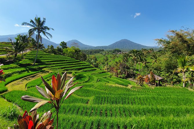 Solo or Group Tour - 10 Hours, 5 Persons Max - Airport pickup at I Gusti Ngurah Rai