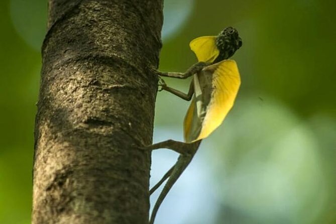 Sulawesi Tangkoko National Park Private Tour - Is $99 a fair price?