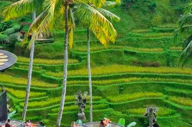 Sunset Sailboat Dinner Cruise & Private Ubud highlights Tour. - Tegallalang Rice Terrace gives the day its classic Bali view