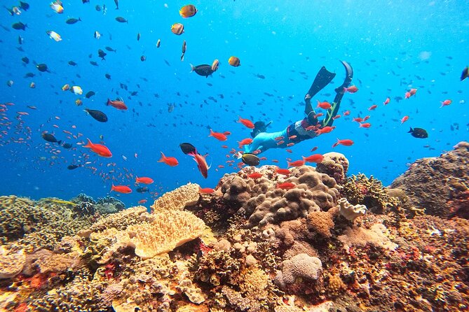 Swim with Manta Rays: Snorkeling Day Trip from Bali - Manta rays are the reason to go