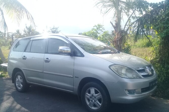 Tanah Lot and Uluwatu Temple Private Guided Tour - The private car is useful, but the roads set the pace