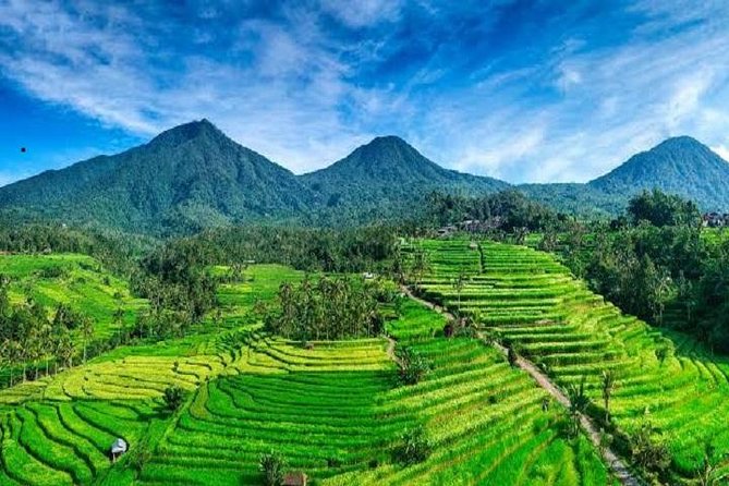 Tanah Lot - Jatiluwih (UNESCO) - Beratan lake -Hidden hill (Wanagiri)-FREE WI-FI - Guide expectations and the role of Ketut
