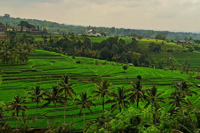 Tanah Lot Tour: Discover Bali’s Iconic Temple and Stunning Views - A private driver matters on a 10 to 12 hour day