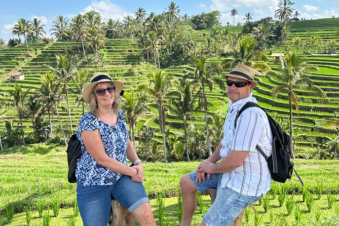 Tanah Lot Tour & North Bali Tour : All-Inclusive Best Experience - Why this North Bali day makes sense