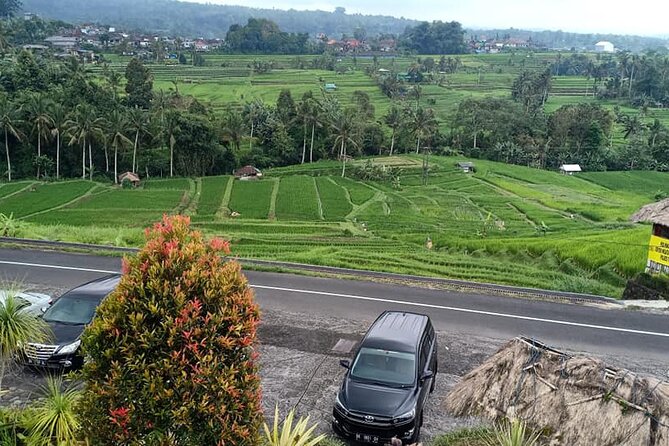 Tanah Lot Tour & North Bali Tour : All-Inclusive Best Experience - Ulun Danu Beratan beside the lake