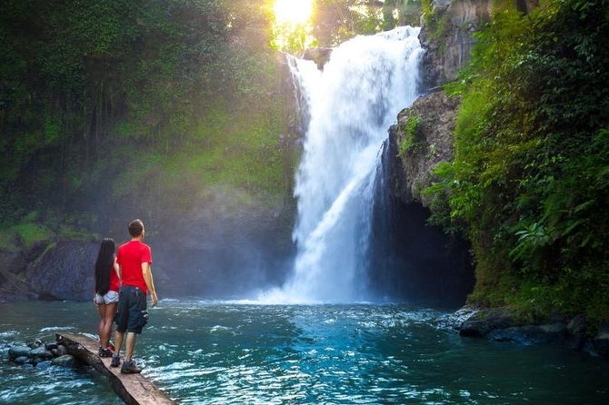 Tanah Lot Tour with Ubud Monkey Forest, Rice Terraces, and Waterfalls - What this private Bali day trip is really like