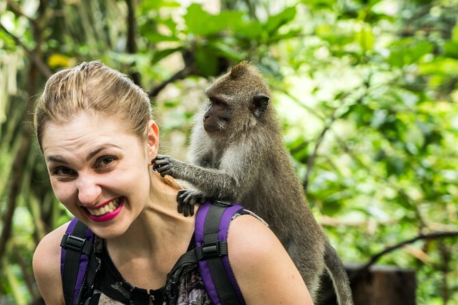 Tanah Lot Tour with Ubud Monkey Forest, Rice Terraces, and Waterfalls - Tegenungan Waterfall in 30 minutes