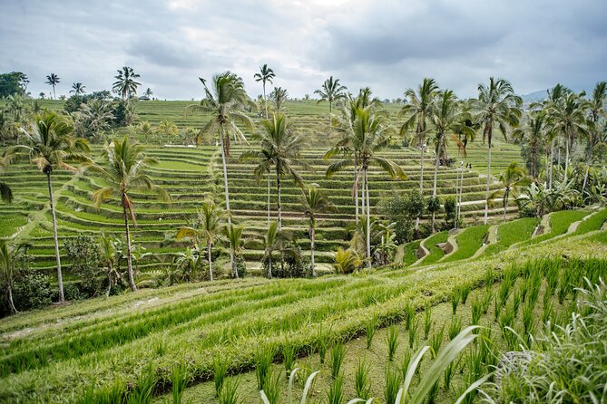 Tanah Lot & UNESCO Heritage Small Group Tour - Pickup, clothing, and the practical details