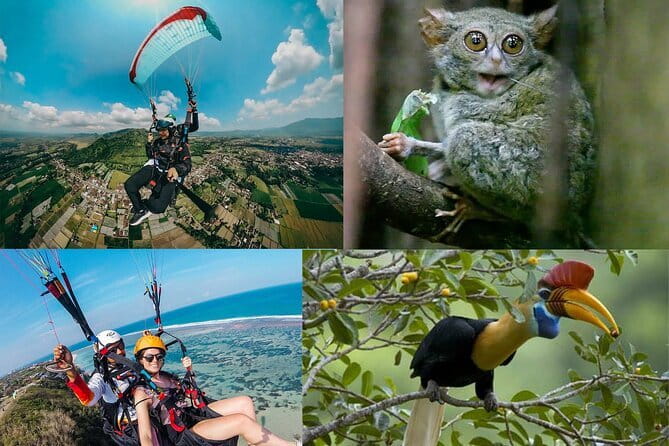 Tangkoko Bitung Manado Nature Tourism Park includes lunch. - Is $97 good value?