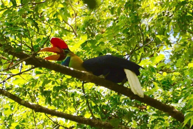 Tangkoko Bitung Manado Nature Tourism Park includes lunch. - Who will enjoy this trip most?