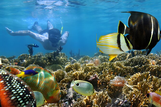 Tanjung Benoa Water Sports: All Inclusive Bali Activities - Drivers can make the day easier