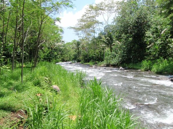 Telaga Waja River Rafting Bali & Zipline (Less Stairs) - Why Telaga Waja works for an active Bali day