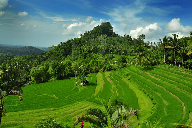 Telaga Waja White Water Rafting and Besakih Temple Tour - Kerta Gosa and the old Klungkung court