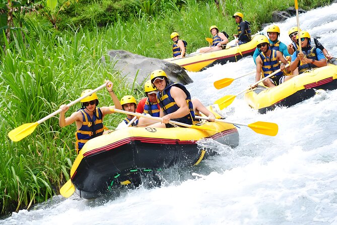Telaga Waja White Water Rafting and Besakih Temple Tour - What the $80 price covers