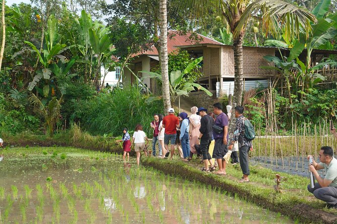 Tete Batu Tour (Culture, Rice Terraces and Waterfalls) - Who will get the most from this tour