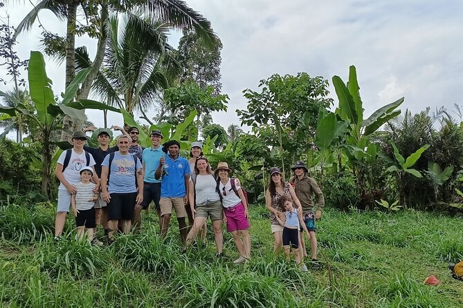 Tetebatu Guided Tour in Rice Terraces Waterfall and Monkey Forest - An eight-hour day with a small-group feel