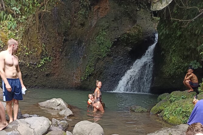 Tetebatu Guided Tour in Rice Terraces Waterfall and Monkey Forest - Walking the rice terraces below Mount Rinjani
