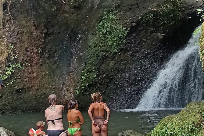 Tetebatu Guided Tour in Rice Terraces Waterfall and Monkey Forest - Reaching Jeruk Manis Waterfall by jungle path