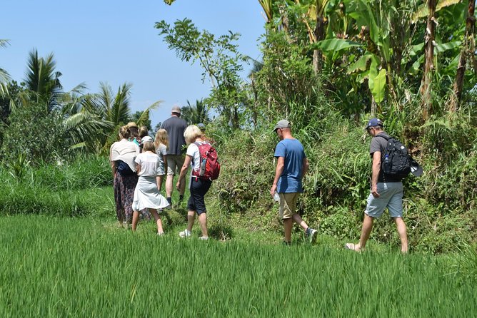 Tetebatu Walking Tour - Rice Terraces, Waterfall & Monkey Forest - Tetebatu Waterfall and the slower middle of the day