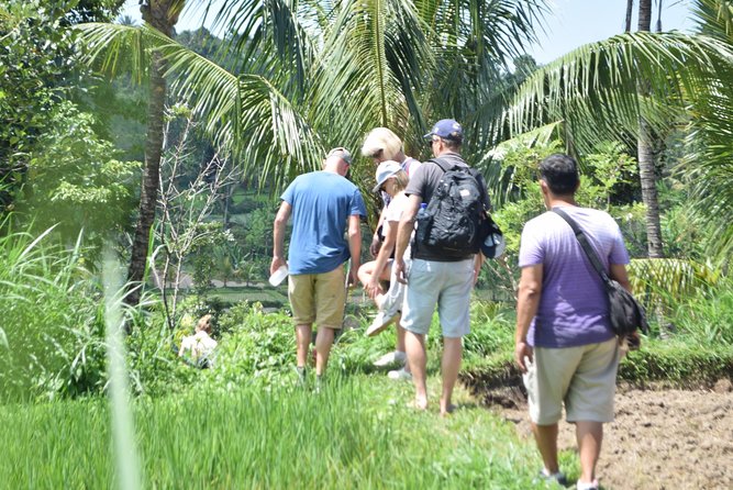 Tetebatu Walking Tour - Rice Terraces, Waterfall & Monkey Forest - The 7 a.m. transfer and long road to Tetebatu