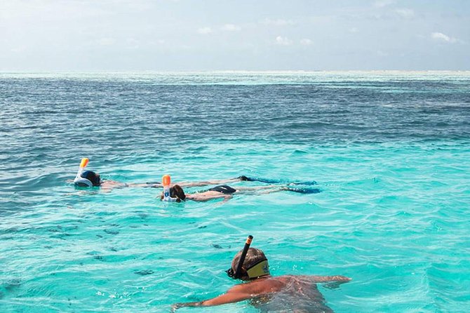 The Best 2-point Snorkeling in Padangbai: Blue lagoon and Tanjung jepun - Key points to know before booking