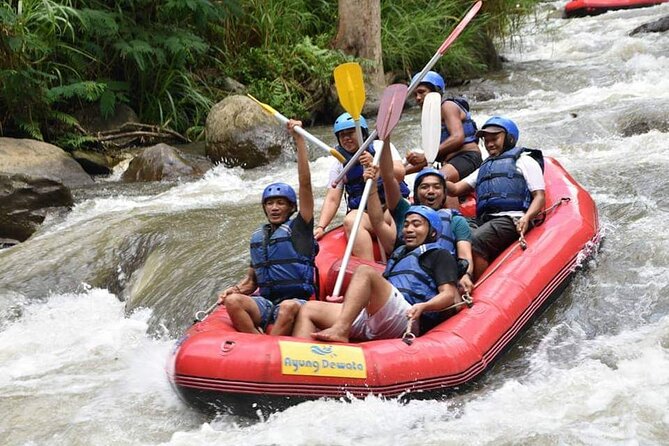 The Best Ayung River Rafting Adventure in Ubud - Who will enjoy this Ayung rafting trip most