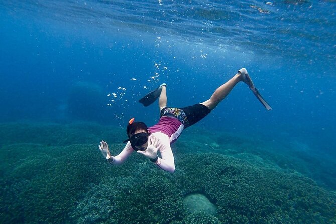 Three Islands Snorkeling (3 Spots) Manta Rays - From Lembongan - Three spots are advertised, but the route can change