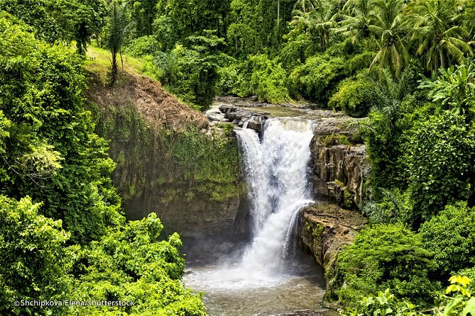 Three Main spot Bali Waterfall with Swing - The guide can turn driving time into part of Bali