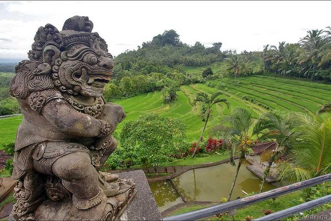 Tour: Besakih Temple-Kintamani Volcano-Water temple&Rice Terrace - Timing, comfort, and the full-day tradeoff