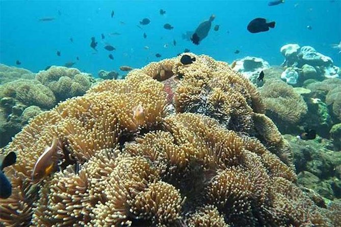 Tour Gate of Heaven at Lempuyang Temple - Blue Lagoon Snorkeling with lunch - Who Should Book This Day Out?