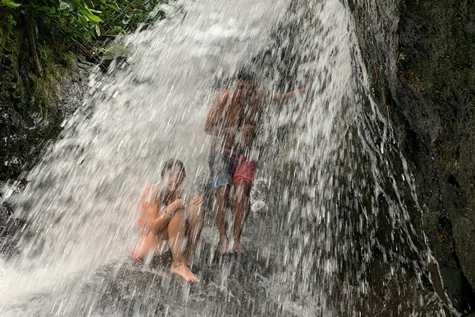 TOUR PACKAGE (jungle trekking, taxi, Room) 4 DAYS 3 NIGHTS in BUKIT LAWANG - Day three: more jungle, then the raft home