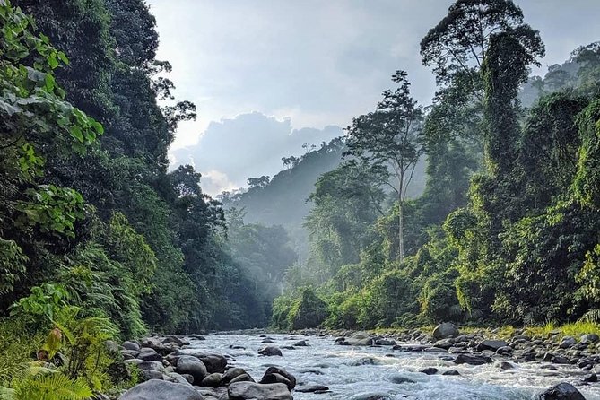 TOUR PACKAGE (jungle trekking, taxi, Room) 4 DAYS 3 NIGHTS in BUKIT LAWANG - What the guide service is really like
