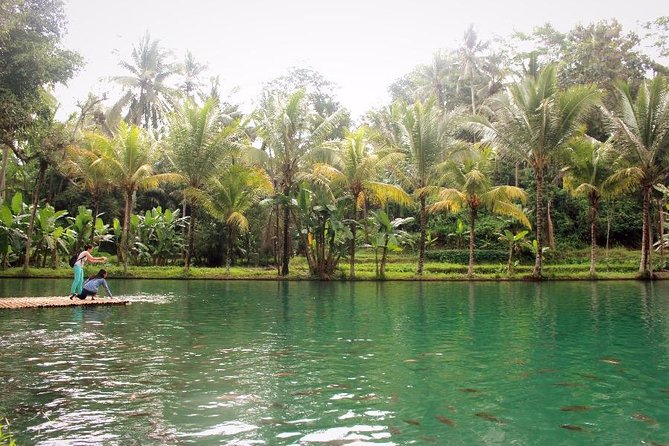 Traditional Balinese Cooking Class with Ubud Tour - Tanah Lot and the long road home