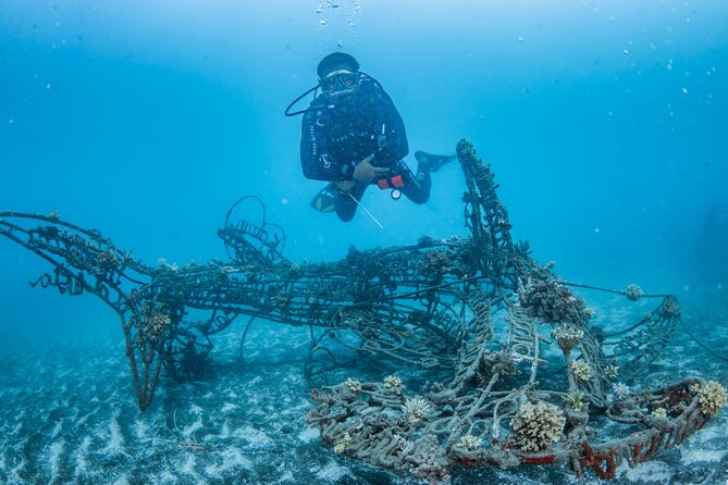 Try Dive Program in the Biorock Pemuteran - Starting at Karang Divers Bali in Pemuteran